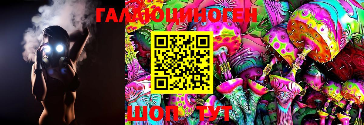 Псилоцибиновые грибы Psilocybe Чита