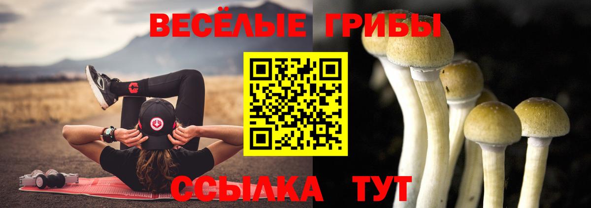Галлюциногенные грибы мухоморы Чита